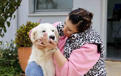 Antalya’da sokak hayvanları yeni sahiplerini bekliyor
