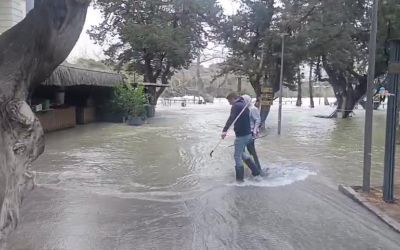 Manavgat Irmağı’nda su debisi yükseldi, işletmeleri su bastı
