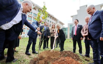 AÜ İlahiyat Fakültesi bahçesine 100 ağaç dikildi
