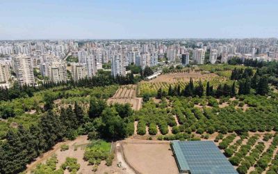 Türkiye son 20 yılda, Antalya’dan büyük tarım alanını kaybetti
