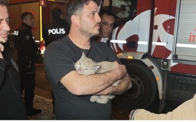 Korkutan yangında mahsur kalan kediyi itfaiye kurtardı
