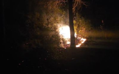 Alanya’da ormanlık alanda çıkan yangın büyümeden söndürüldü
