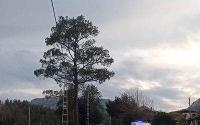 Antalya’da kamyonetin kasasından düşen kadın hayatını kaybetti
