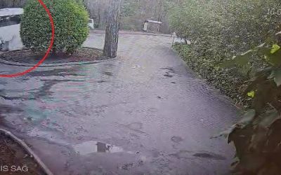 Manavgat’ta servis otobüsü ile hafif ticari araç çarpıştı
