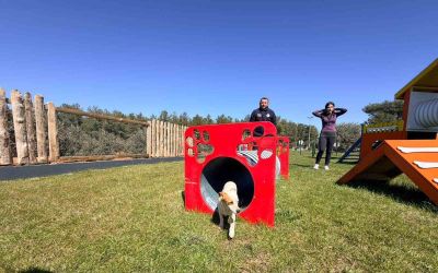 Duacı Mahallesi’nde Pati Park hizmet açıldı
