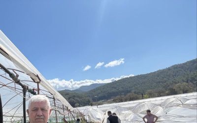 Kumluca’da hortum seraları vurdu, 10 dönüm alan zarar gördü
