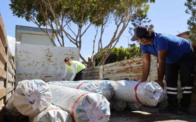 Hortum ve yağıştan zarar gören Kumlucalı çiftçilere sera naylonu desteği
