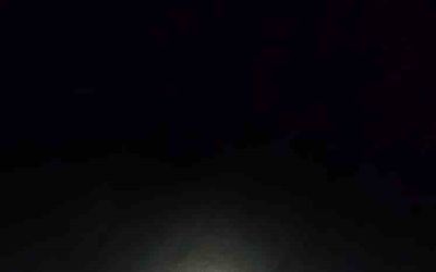 Antalya’da sahilde dev caretta caretta ölü bulundu
