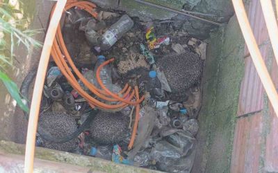 İtfaiyeden rögarda üç kirpi, bacada serçe mesaisi
