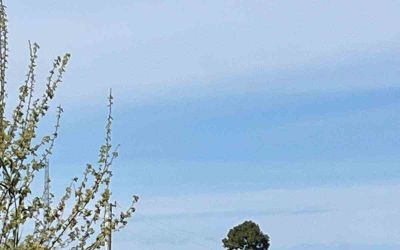 Aksu’da traktör dereye devrildi sürücü  hayatını kaybetti
