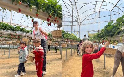 ALKÜ’lü minikler fidan dikip çilek topladı
