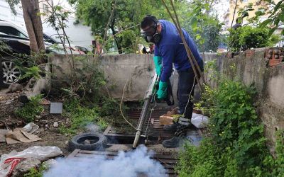 Büyükşehir’den sinek üreme alanlarında yoğun çalışma
