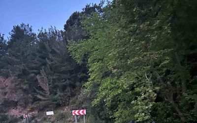 Minibüs yoldan çıktı: 2 yaralı
