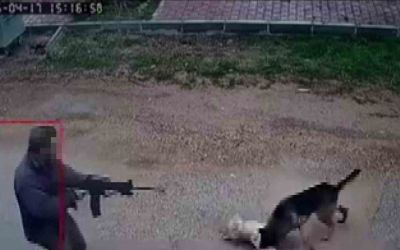 Kavga eden sokak köpeklerine tüfekle ateş edip bir köpeği öldürdü
