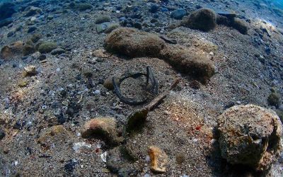 Büyükşehir’den Yat Limanı’nda deniz dip temizliği
