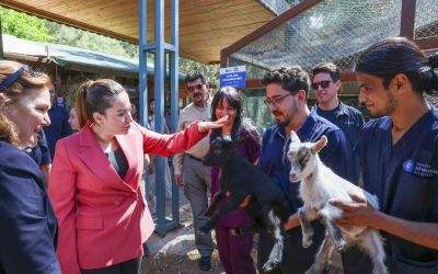 Başkan Vekili Büşra Özdemir: 