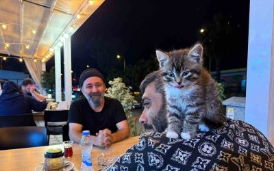 Madde bağımlılığından yavru kedi sayesinde kurtuldu
