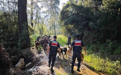 Antalya’da sürüden ayrılıp kaybolan 41 keçi jandarma tarafından bulundu

