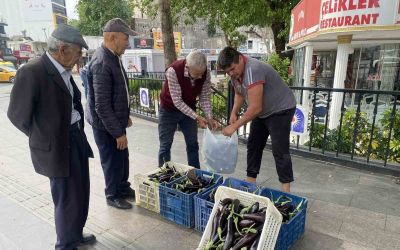 Ürettiği patlıcanlar maliyetini kurtarmayınca serasının kapılarını vatandaşlara açtı
