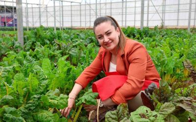5. Uluslararası Antalya FoodFest Gastronomi Festivali Akdeniz yeşillikleri hasadıyla başladı
