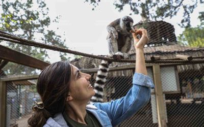 Antalya Doğal Yaşam Parkı’nda yavru lemur sevinci
