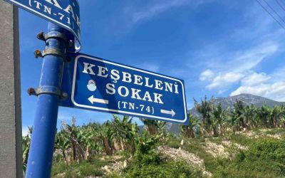Belediye çalışanlarından örnek davranış: Çöp konteynerinde ölüme terk edilen kaplumbağayı kurtardılar
