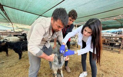 Kepez’de kurban satış ve kesim yerleri denetim altında
