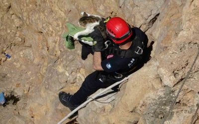 Falezlerde mahsur kalan kedi, itfaiyenin 1 saatlik çalışmasıyla kurtarıldı
