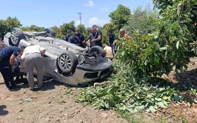Viraj alamayan otomobil avokado bahçesine uçtu
