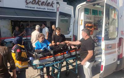 Palmiyeye çarpan Tofaş hurdaya döndü: 4 genç yaralandı
