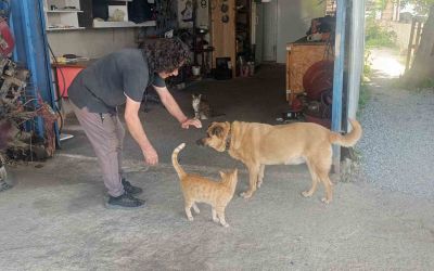 Gözleri görmeyen köpeğe 13 yıldır evladı gibi bakıyor
