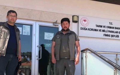 Kuş denetiminde kafeslerdeki keklik ve papağanlara el konuldu
