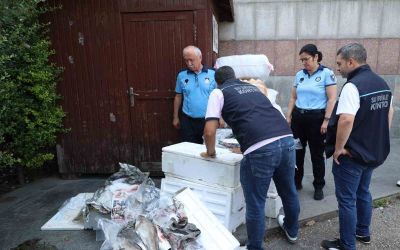 Antalya Otogarı’nda balık operasyonu: 260 kilo ele geçirildi
