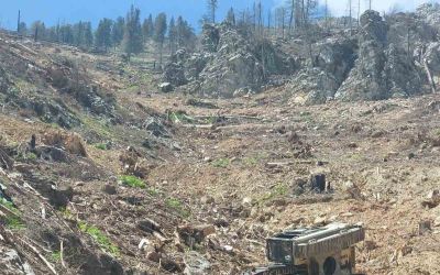 Devrilen iş makinesinin altında kalan operatör hayatını kaybetti
