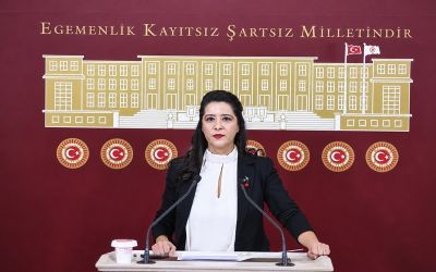 Milletvekili Sevda Karaca: 