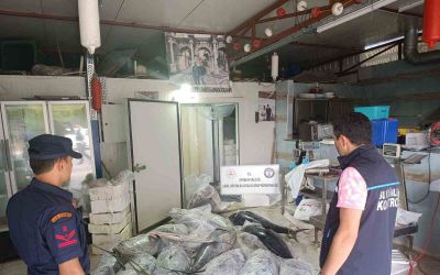 Antalya’da avlanması ve satışı yasak olan 603 kilogram balığa el konuldu
