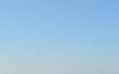 Alanya açıklarında balina heyecanı kamerada
