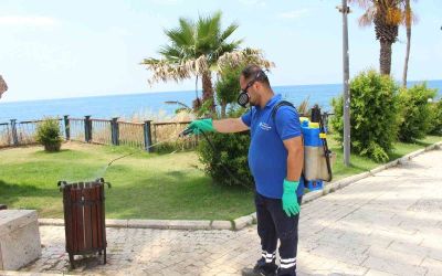 Antalya’da vektörle mücadele 19 ilçede sürdürülüyor
