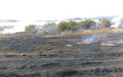 Antalya’da otluk alan yangını itfaiye ekiplerince söndürüldü

