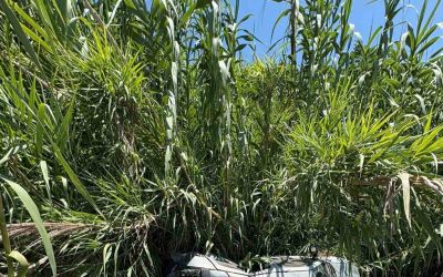 Ticari araç ile çarpışan otomobil bahçeye devrildi: 2 yaralı
