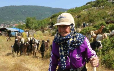 Antalya’nın süper çobanı Emine Nine: 94 yaşında, 90 yıldır keçileriyle dağlarda
