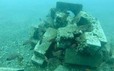 Denize düşen beton ağırlıklardan yapay resif oluşturdular
