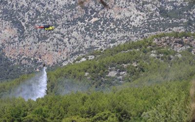 Antalya’da ormanlık alanda çıkan yangın büyümeden kontrol altına alındı
