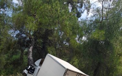 Alanya’da kamyonet ağaca çarptı: 1 ölü, 1 ağır yaralı
