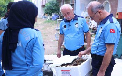 Antalya Otobüs Terminali’nde kerevit operasyonu: 90 kilogram ele geçirildi
