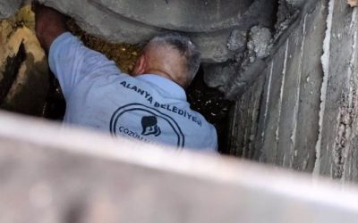 Kanalizasyona düşen kedi belediye ekiplerince kurtarıldı
