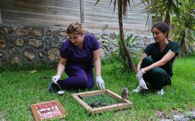 Antalya Doğal Yaşam Parkı’nda tam donanımlı klinik hizmeti

