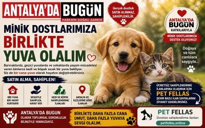 Antalya'da Bugün'den Minik Dostlara Destek