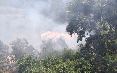 Alanya’da avokado bahçelerinin bulunduğu zirai alanda yangın
