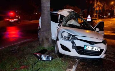 Refüjdeki palmiyeye çarpan otomobilin sürücüsü yaralandı
